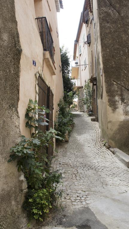 La Vieille Bastide Bed & Breakfast Flayosc Exterior foto