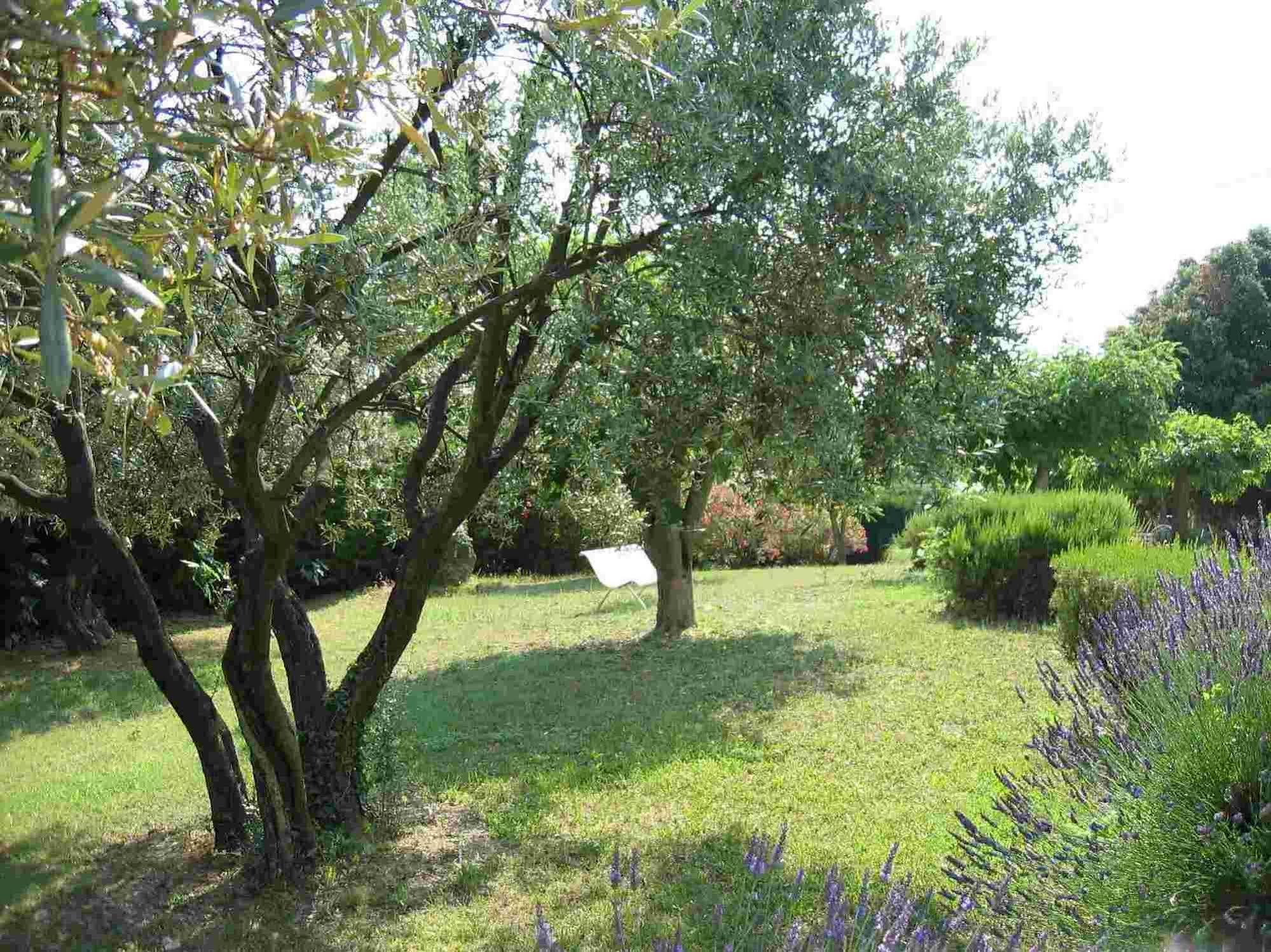 La Vieille Bastide Bed & Breakfast Flayosc Exterior foto